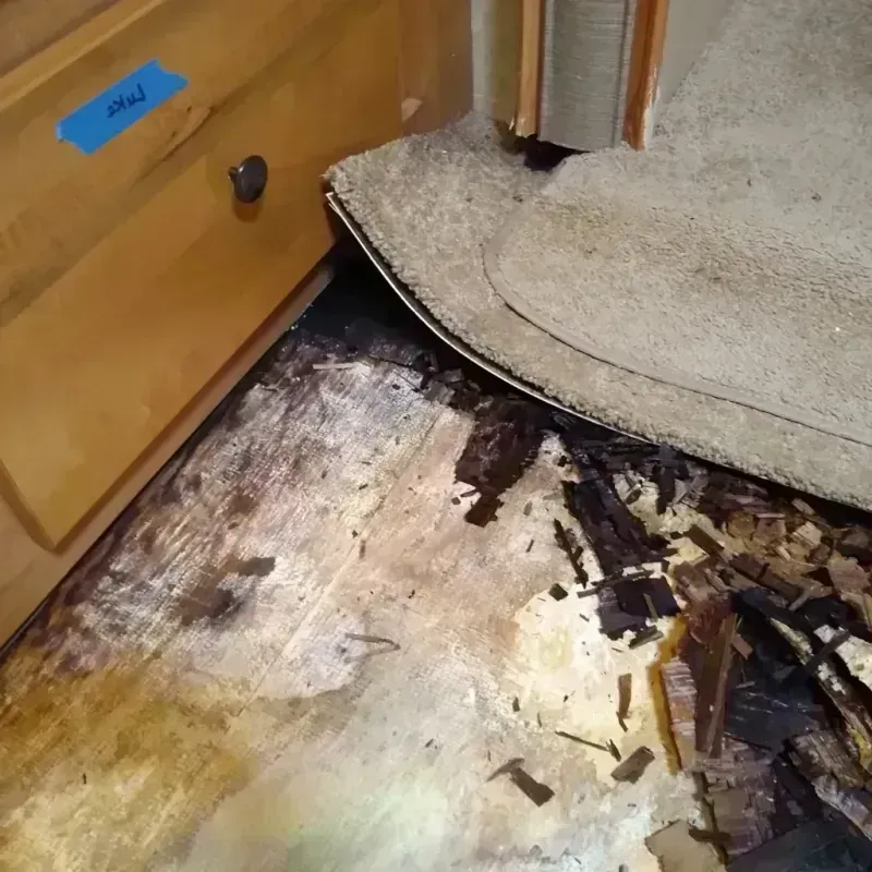 Wood Floor Water Damage in Eagan, MN